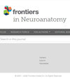 点击查看Frontiers In Neuroanatomy
