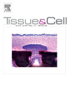 点击查看Tissue & Cell