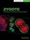 点击查看<b>Zygote</b>