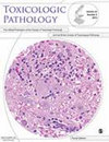 点击查看Toxicologic Pathology
