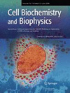 点击查看Cell Biochemistry And Biophysics