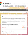 点击查看Frontiers In Synaptic Neuroscience