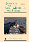 点击查看Journal Of Avian Medicine And Surgery