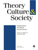 点击查看Theory Culture & Society