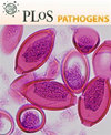 点击查看Plos Pathogens