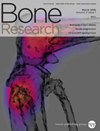 点击查看Bone Research
