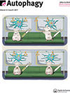 点击查看Autophagy