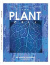点击查看Plant Cell